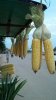 $2013-04-23_18-11-48_457.jpg
