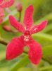 $DSCF0737_140311.jpg