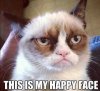 $Grumpy-Cat-Purina.jpg