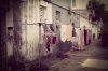 $backlanes.jpg