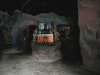 $P1010087.ORF.jpg