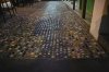$DSC_1557.NEF.jpg