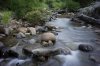 $_DSC2391.jpg