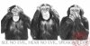 $See No Evil, Hear No Evil, Speak No Evil2.jpg