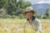 $people padi farmer.jpg