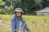 $people padi farmer02.jpg