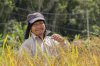 $people padi farmer04a.jpg