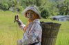 $people padi farmer05.jpg