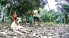 $people-timores-family-dog.jpg