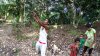 $people-palm-est-catch-bat.jpg