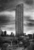 Ion Orchard Stack 1 146.jpg