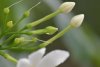 tamron_telephoto_zoom_lens_nik_1667289890_bfddfecd_progressive.jpeg