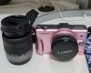 Panasonic DMC -GF 2.jpg