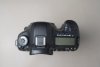 DSC07961.JPG