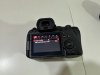 IMG_1619.JPEG