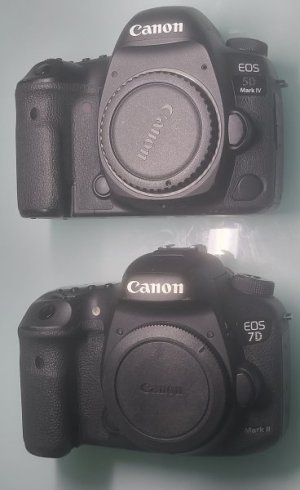 Canon 7DII 5D4.jpg