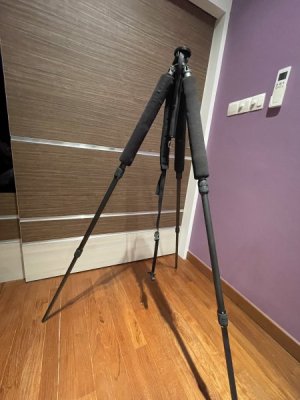 IMG_6585.jpeg