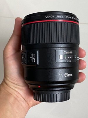 canon_ef85mm_f14l_is_usm_1693479896_4526dccd_progressive.jpg