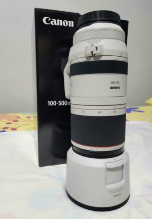 RF Lens 100-500mm Photo3.jpeg