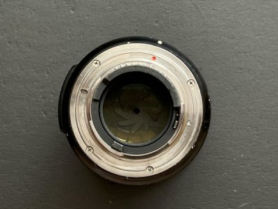 50mm back.jpg