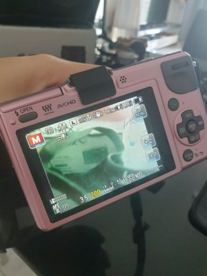 gf2 (3).jpg