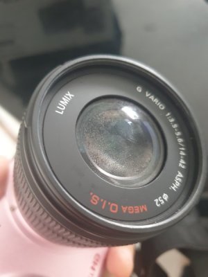 gf2 (5).jpg