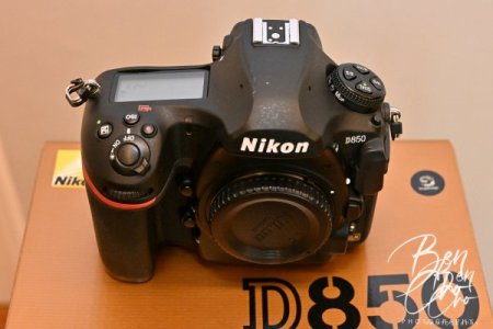 20231021 D850 438 - 10.JPG