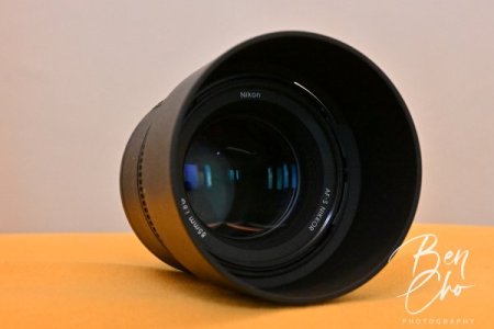 20231021 85mm f1.8 457 - 02.JPG