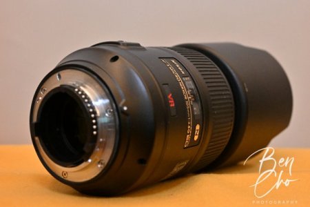 20231021 105mm micro f2.8 482 - 02.JPG