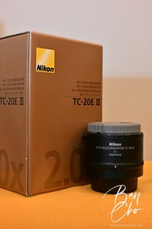 BZ8_0463.JPG