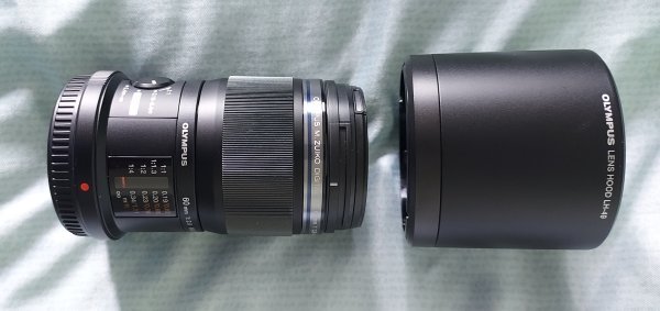 60mm macro.jpg