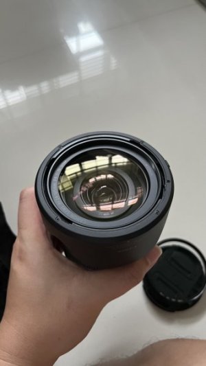 IMG_6175.jpeg