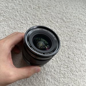 IMG_3386.jpeg