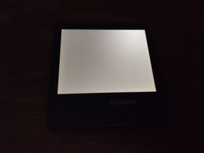 IMG_20231113_124955.jpg