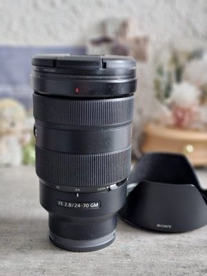 Sony FE2470 GM1 (2).jpeg