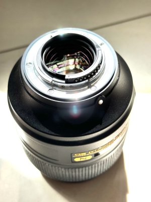 IMG_2461.jpeg
