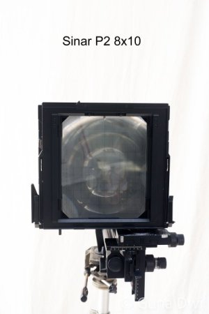SFL-11.jpg