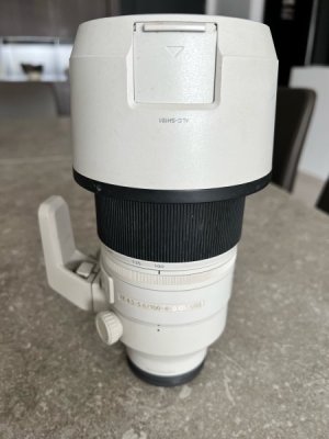 Sony 100-400GM 1.jpeg