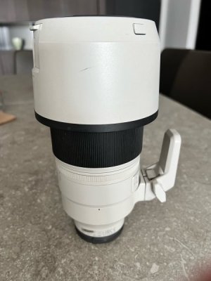 Sony 100-400GM 2.jpeg