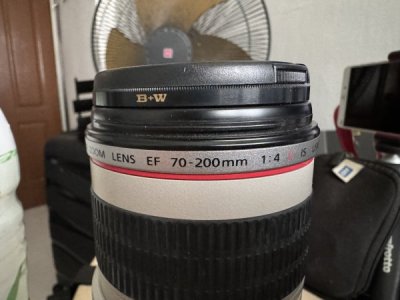 IMG_4775.jpeg