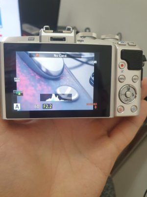 olympus pen7 (5).jpg