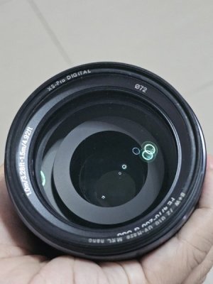 1000016707.jpg