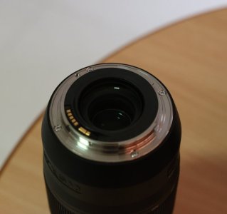 534A2166.JPG