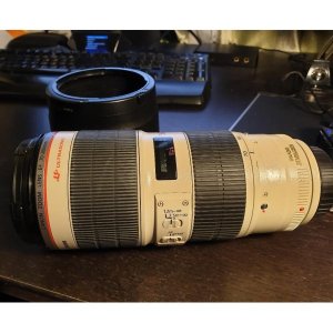 canon_70200mm_f28_l_is_ii_1553082665_6b0899de0_progressive.jpeg