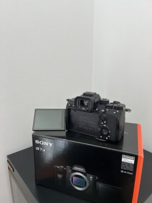 IMG_7664.JPG