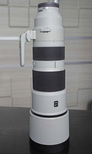 DSC06438-00.jpg