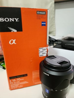 IMG_20240307_072228.jpg