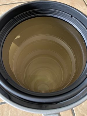 IMG_3101.jpeg