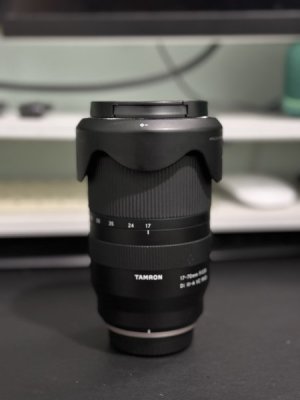 IMG_1824.jpeg