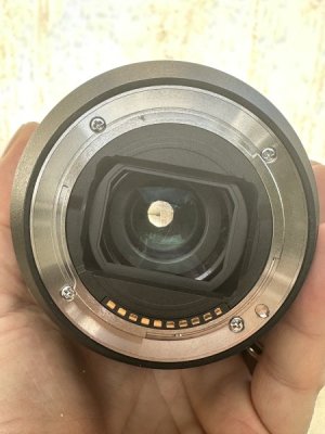 IMG_1975.jpeg